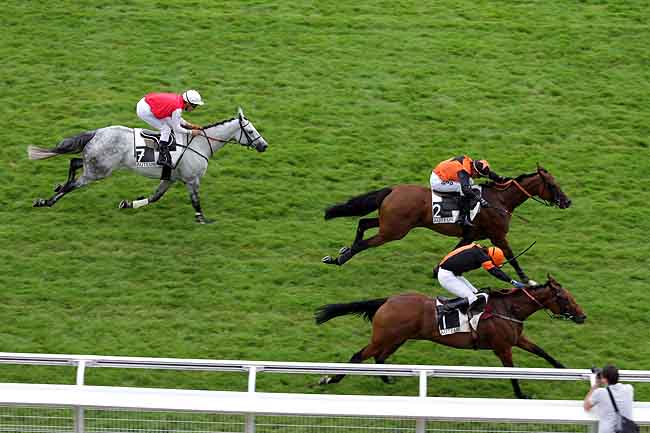 Arrivée quinté pmu PRIX MORTEMART à AUTEUIL