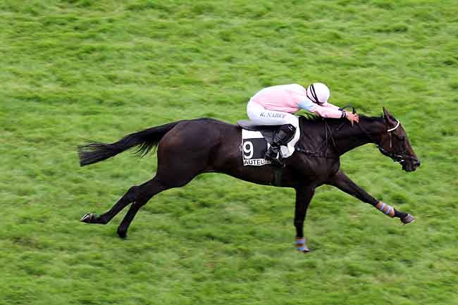 Arrivée quinté pmu PRIX SAIDA à AUTEUIL