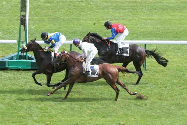 Arrivée quinté pmu PRIX DE LUTECE à LONGCHAMP