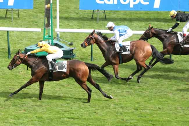 Arrivée quinté pmu PRIX DU PIN à LONGCHAMP