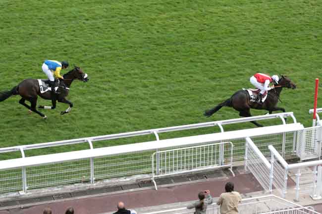 Arrivée quinté pmu PRIX GEORGES PELAT à AUTEUIL