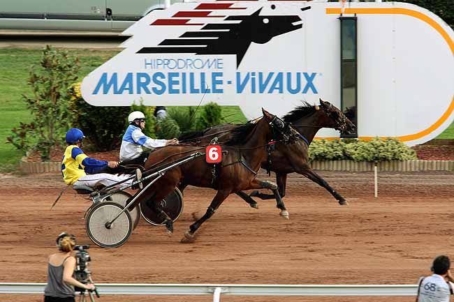Arrivée quinté pmu PRIX DE GROSBOIS à PONT DE VIVAUX