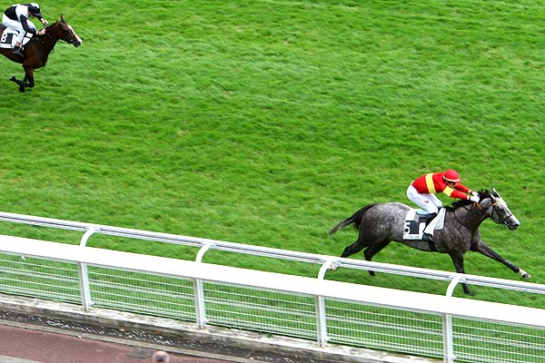 Arrivée quinté pmu PRIX FINOT (POULICHES) (GRA) à AUTEUIL