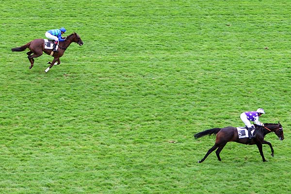 Arrivée quinté pmu PRIX DE L'ORLEANAIS à AUTEUIL