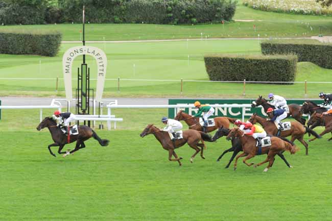 Arrivée quinté pmu PRIX ALBINE à MAISONS-LAFFITTE