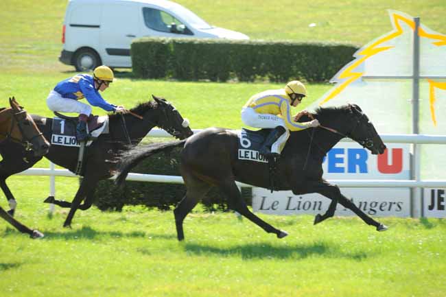 Arrivée quinté pmu PRIX POINT BLEU à LE LION D'ANGERS