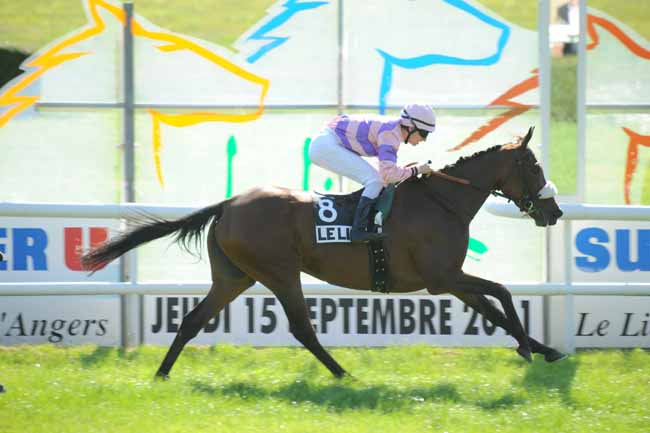 Arrivée quinté pmu PRIX DE LA FEE DU MAS à LE LION D'ANGERS