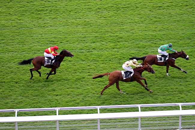 Arrivée quinté pmu PRIX ROBERT LEJEUNE à AUTEUIL