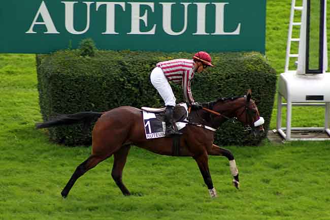 Arrivée quinté pmu PRIX KARGAL à AUTEUIL