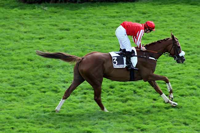 Arrivée quinté pmu PRIX JULIEN DECRION à AUTEUIL