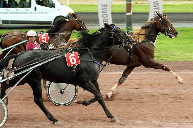 Arrivée quinté pmu GRAND PRIX FEDERATION REGIONALE DU NORD à LA CAPELLE