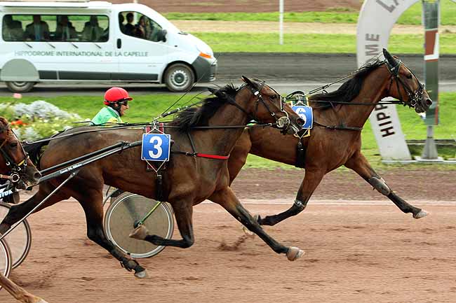 Arrivée quinté pmu PRIX LEOPOLD VERROKEN à LA CAPELLE