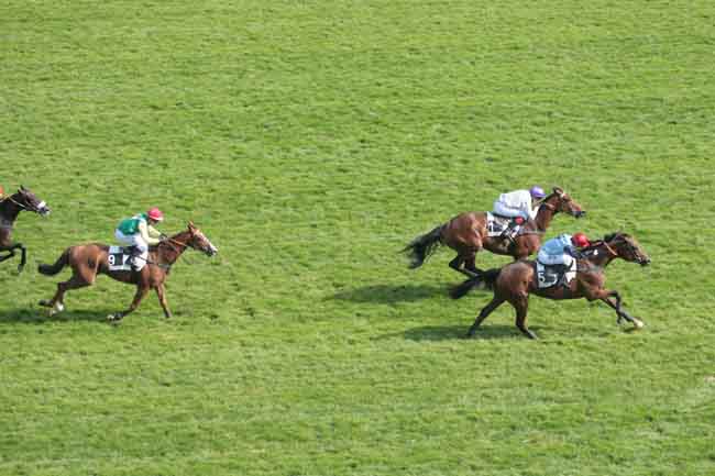 Arrivée quinté pmu PRIX GRANDLIEU à AUTEUIL
