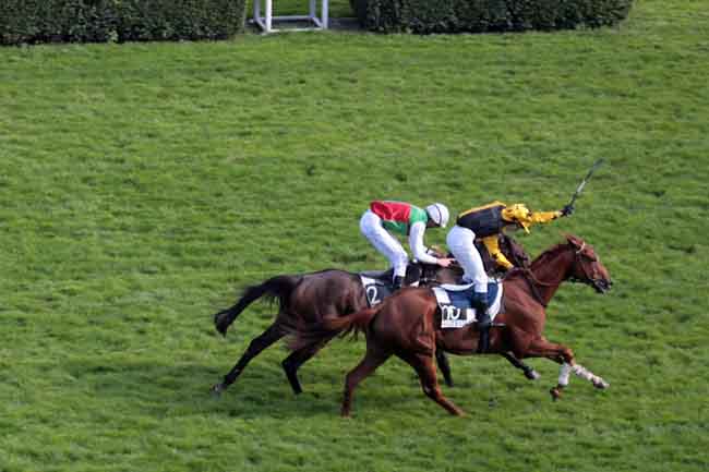 Arrivée quinté pmu PRIX MANDARIN à AUTEUIL