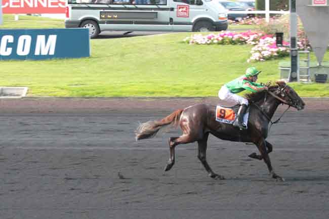 Arrivée quinté pmu PRIX DES ELITES à PARIS-VINCENNES
