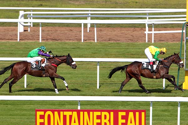 Arrivée quinté pmu PRIX ANDRE PAROT à FONTAINEBLEAU