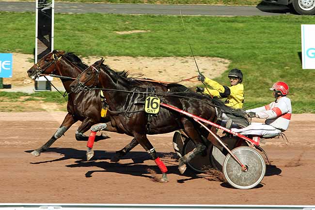 Arrivée quinté pmu PRIX GENY.COM - PARIS-TURF à LISIEUX