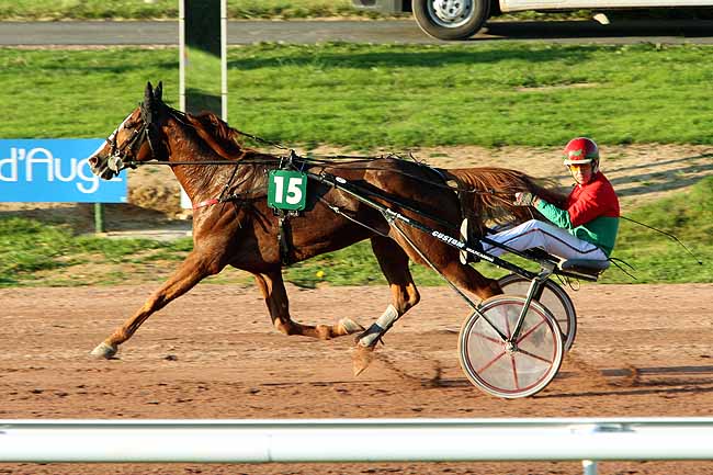 Arrivée quinté pmu PRIX DE NORMANDIE à LISIEUX