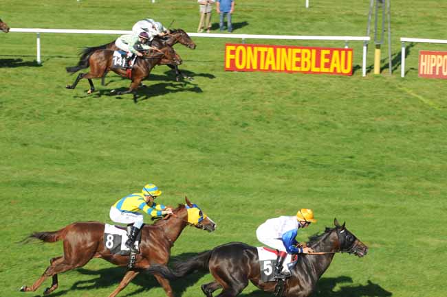 Arrivée quinté pmu PRIX DE GOURNAY EN BRAY à FONTAINEBLEAU
