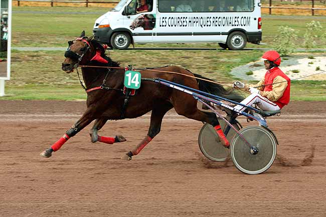 Arrivée quinté pmu PRIX MASINA à ANGERS