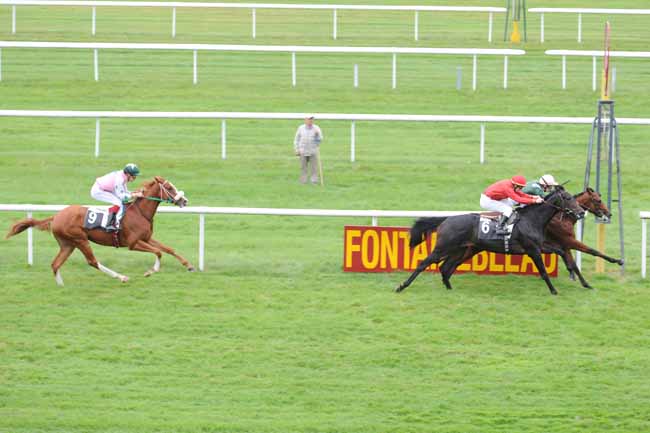 Arrivée quinté pmu PRIX DE LA PORTE NADON à FONTAINEBLEAU