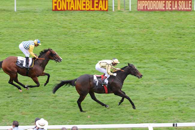 Arrivée quinté pmu PRIX DE BONNEVAL à FONTAINEBLEAU