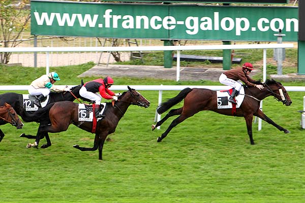 Arrivée quinté pmu PRIX DE BUZENVAL à SAINT-CLOUD