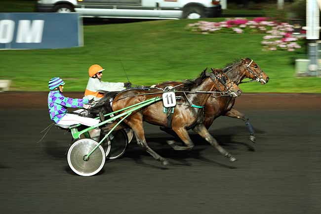 Arrivée quinté pmu PRIX LILACA à PARIS-VINCENNES