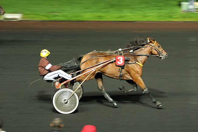 Arrivée quinté pmu PRIX MAJA à PARIS-VINCENNES