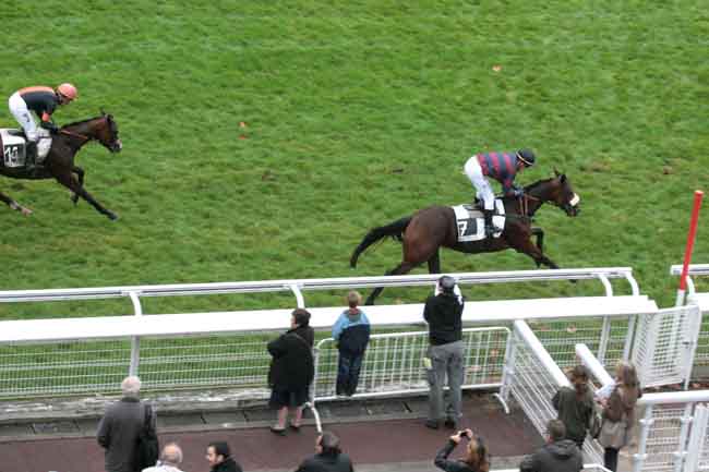 Arrivée quinté pmu PRIX PAUL'S CRAY à AUTEUIL