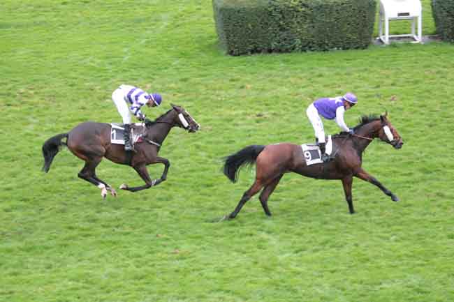Arrivée quinté pmu PRIX ANDRE ADELE à AUTEUIL