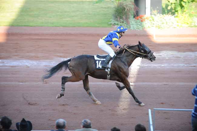 Arrivée quinté pmu PRIX DU CREDIT MUTUEL à FEURS