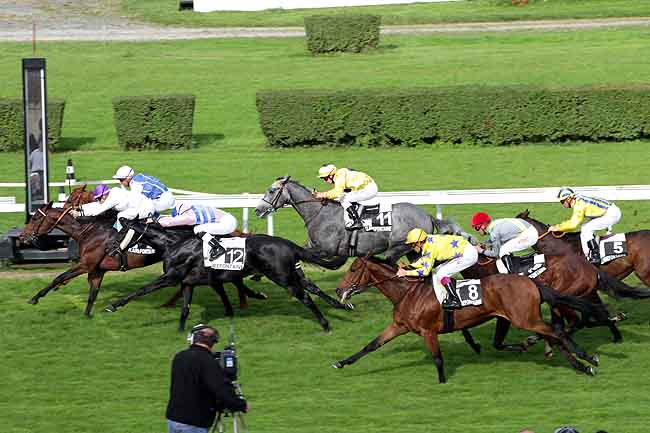 Arrivée quinté pmu PRIX DE LA COMMISSION NATIONALE DES CHEVAUX TERRITORIAUX (PX TIP MOSS) à CLAIREFONTAINE