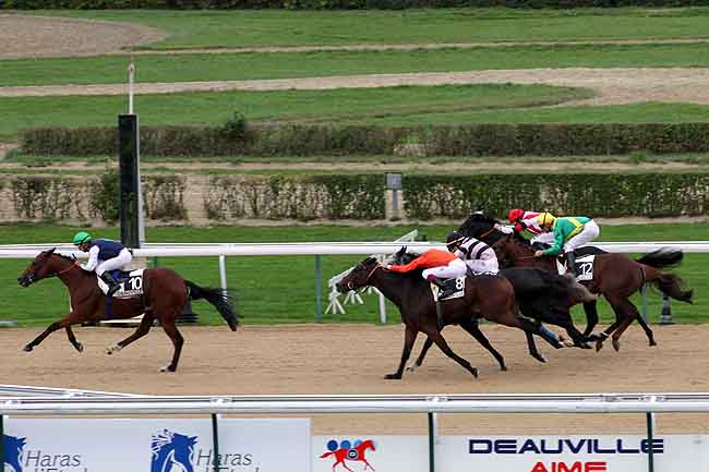 Arrivée quinté pmu PRIX DE LIANGER à DEAUVILLE