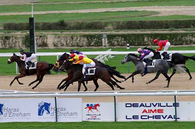 Arrivée quinté pmu PRIX DE DAMPIERRE à DEAUVILLE