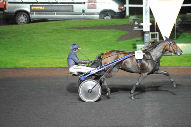Arrivée quinté pmu PRIX OPHIUCUS à PARIS-VINCENNES