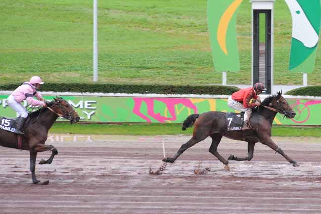 Arrivée quinté pmu PRIX DU MORVAN à LYON-PARILLY
