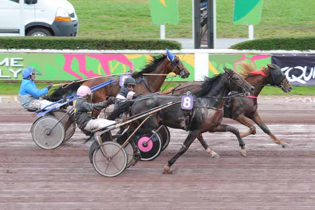 Arrivée quinté pmu PRIX LE PROGRES - PRIX DE BELLE-ILE à LYON-PARILLY