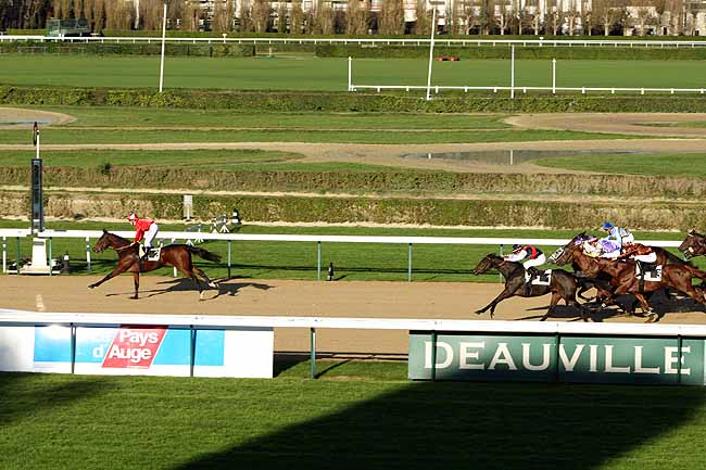 Arrivée quinté pmu PRIX D'ANGUERNY à DEAUVILLE