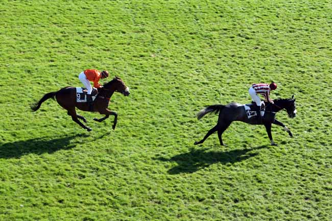 Arrivée quinté pmu PRIX LUSIGNAN (GRB) à AUTEUIL