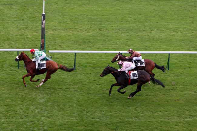 Arrivée quinté pmu PRIX DE LA HARPE à LONGCHAMP