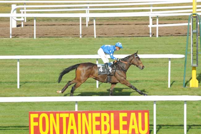 Arrivée quinté pmu PRIX DU LANCER à FONTAINEBLEAU