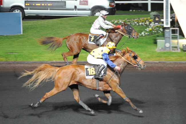 Arrivée quinté pmu PRIX BELLONA à PARIS-VINCENNES