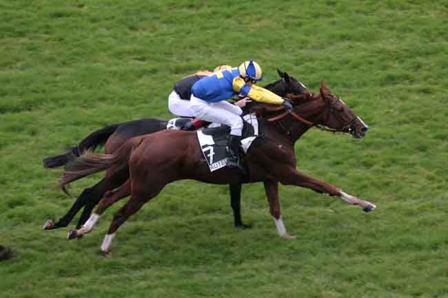 Arrivée quinté pmu PRIX PRE CATELAN à AUTEUIL
