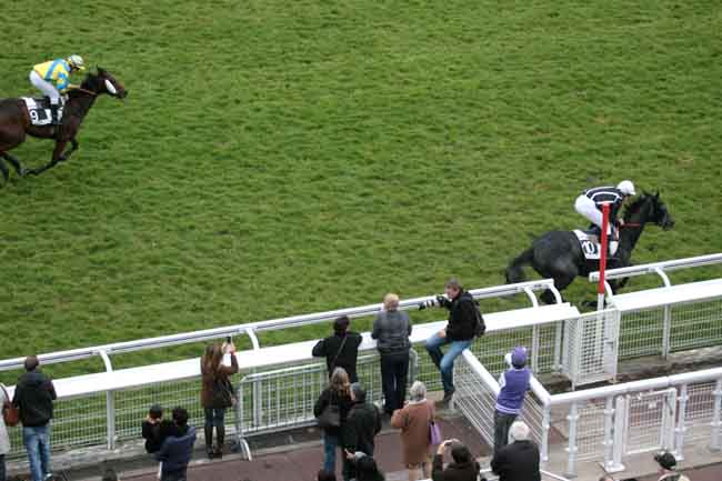 Arrivée quinté pmu PRIX CEREALISTE à AUTEUIL