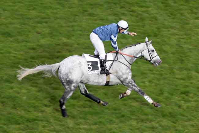Arrivée quinté pmu PRIX UCELLO II à AUTEUIL