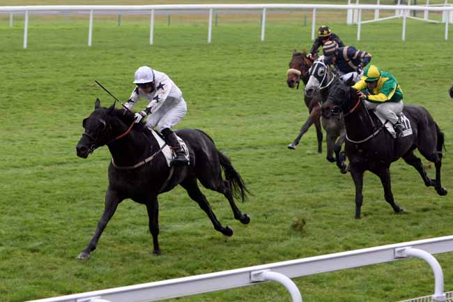 Arrivée quinté pmu PRIX DE SEINE-ET-OISE à MAISONS-LAFFITTE