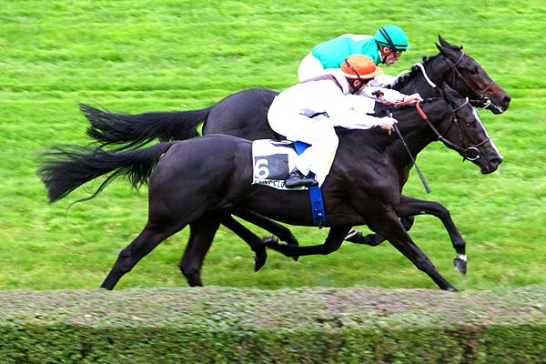 Arrivée quinté pmu PRIX ORTIE BLANCHE à SAINT-CLOUD