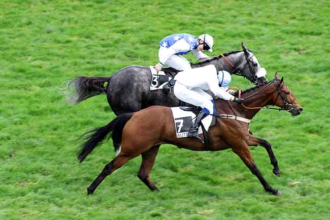 Arrivée quinté pmu PRIX MAURICE GILLOIS GRAND STEEPLE-CHASE DES 4 ANS à AUTEUIL