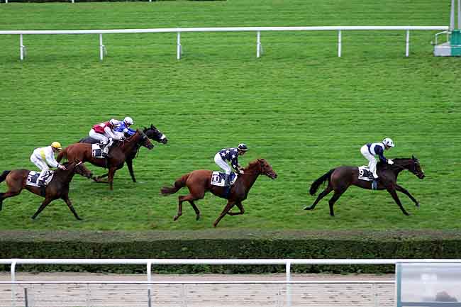 Arrivée quinté pmu PRIX DE VELIZY à SAINT-CLOUD